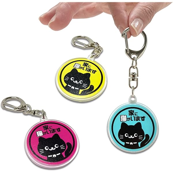 Amazon.co.jp: crazy raccoon クレイジーラクーン store CR